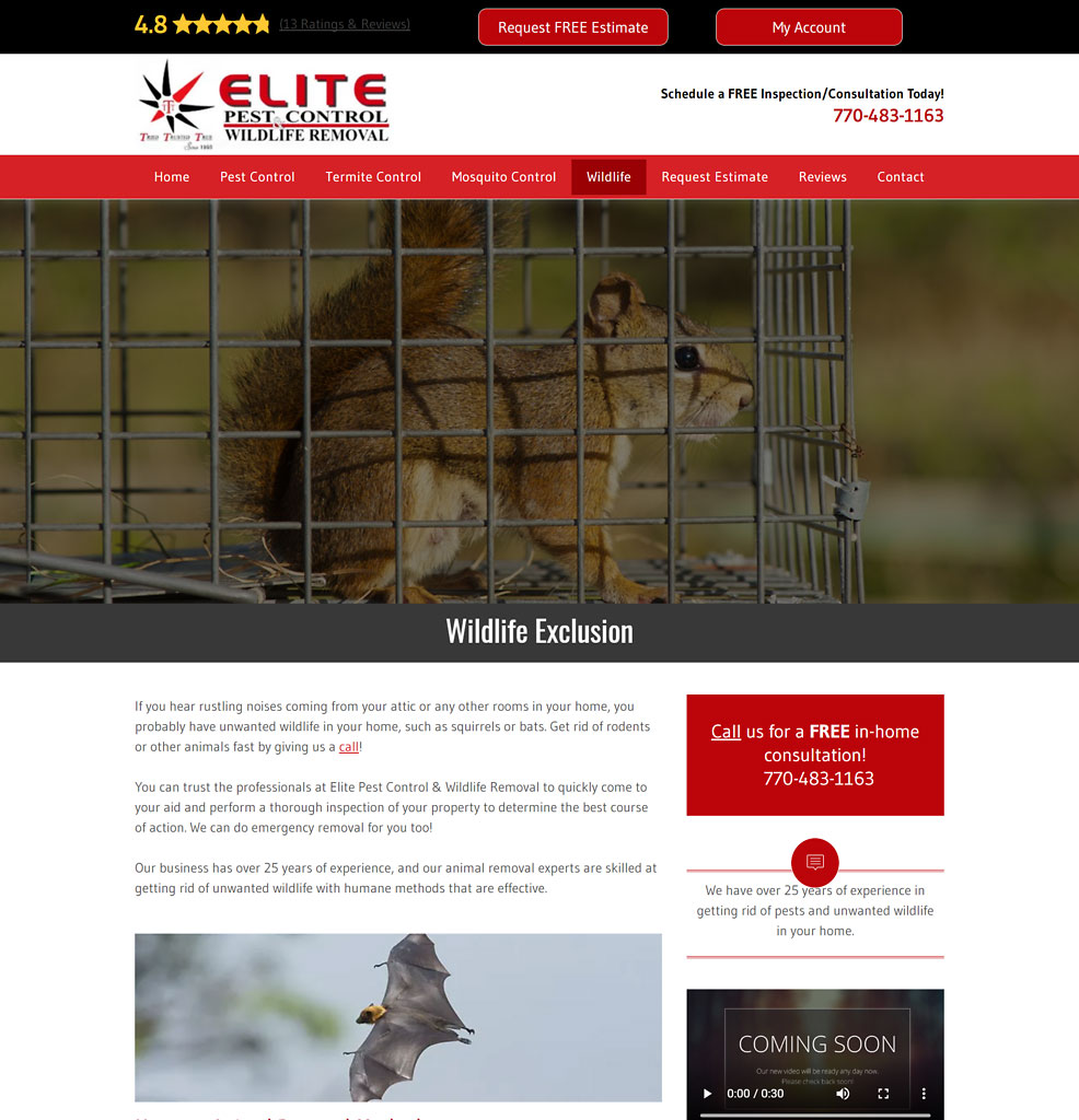 Atlanta Wildlife Control