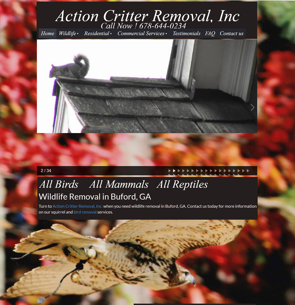 Atlanta Wildlife Control