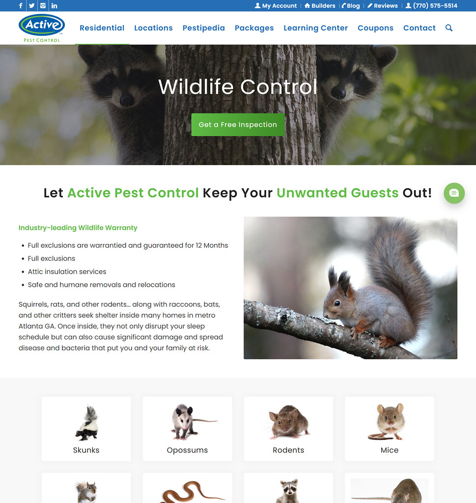 Athens-Clarke Wildlife Control