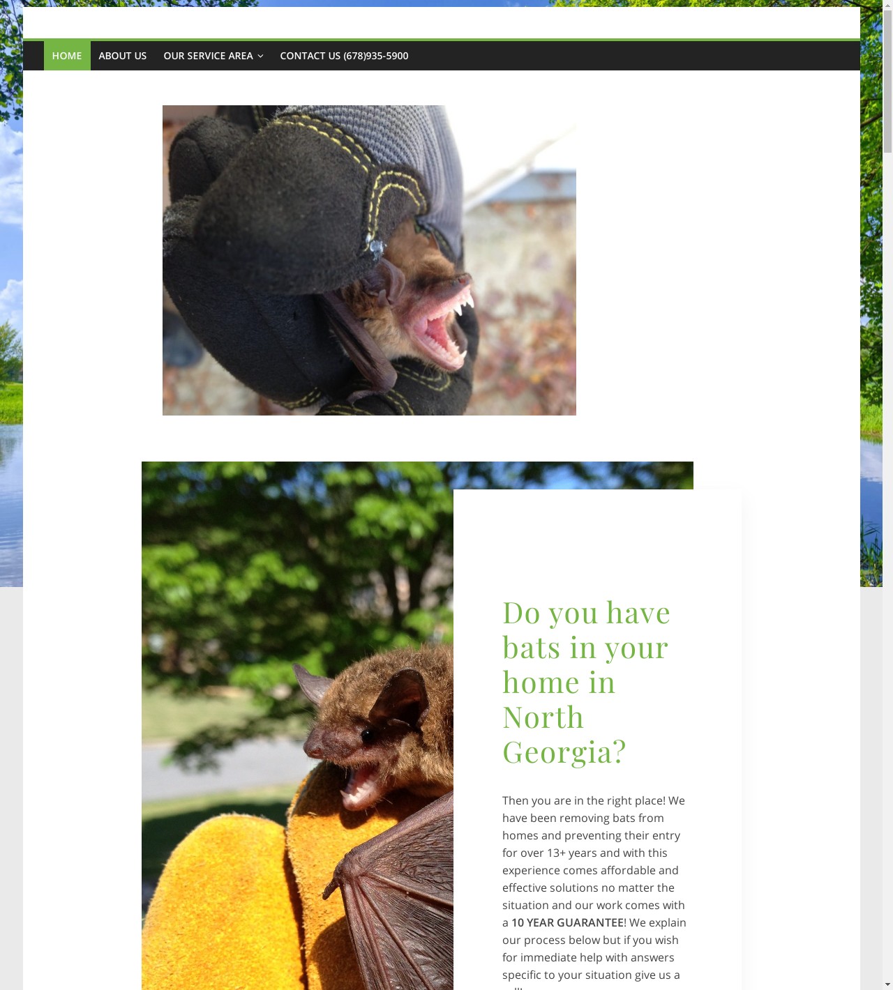 Lawrenceville Wildlife Control