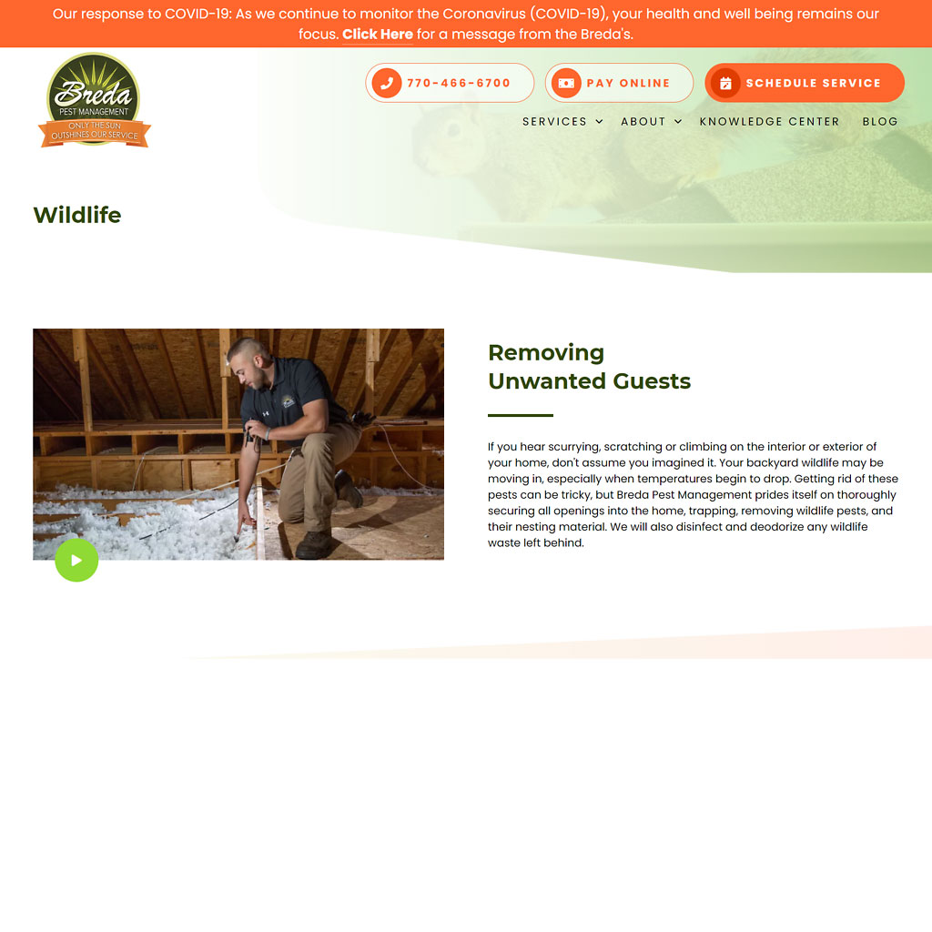 Atlanta Wildlife Control