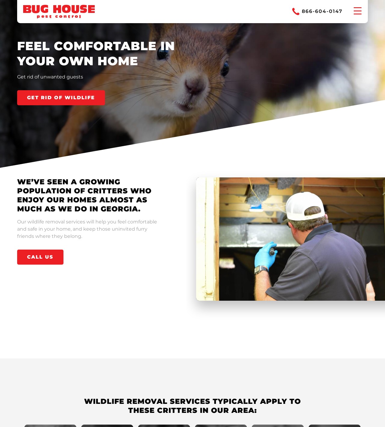 Macon Wildlife Control