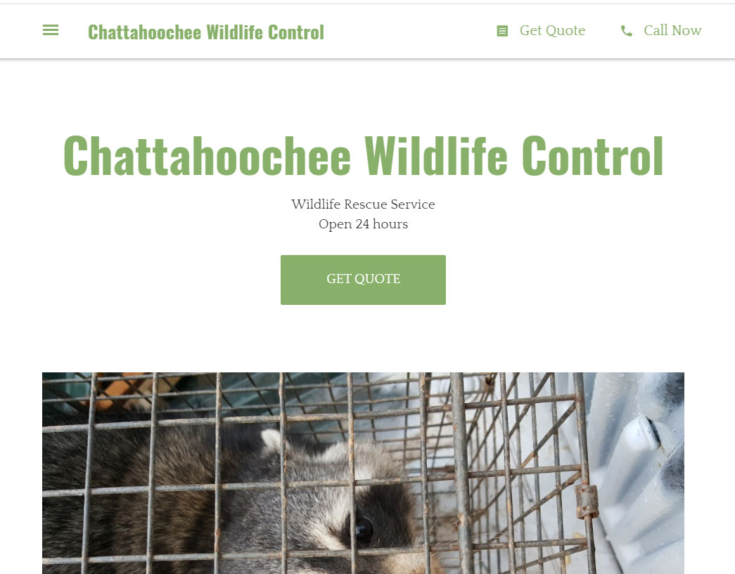 Atlanta Wildlife Control