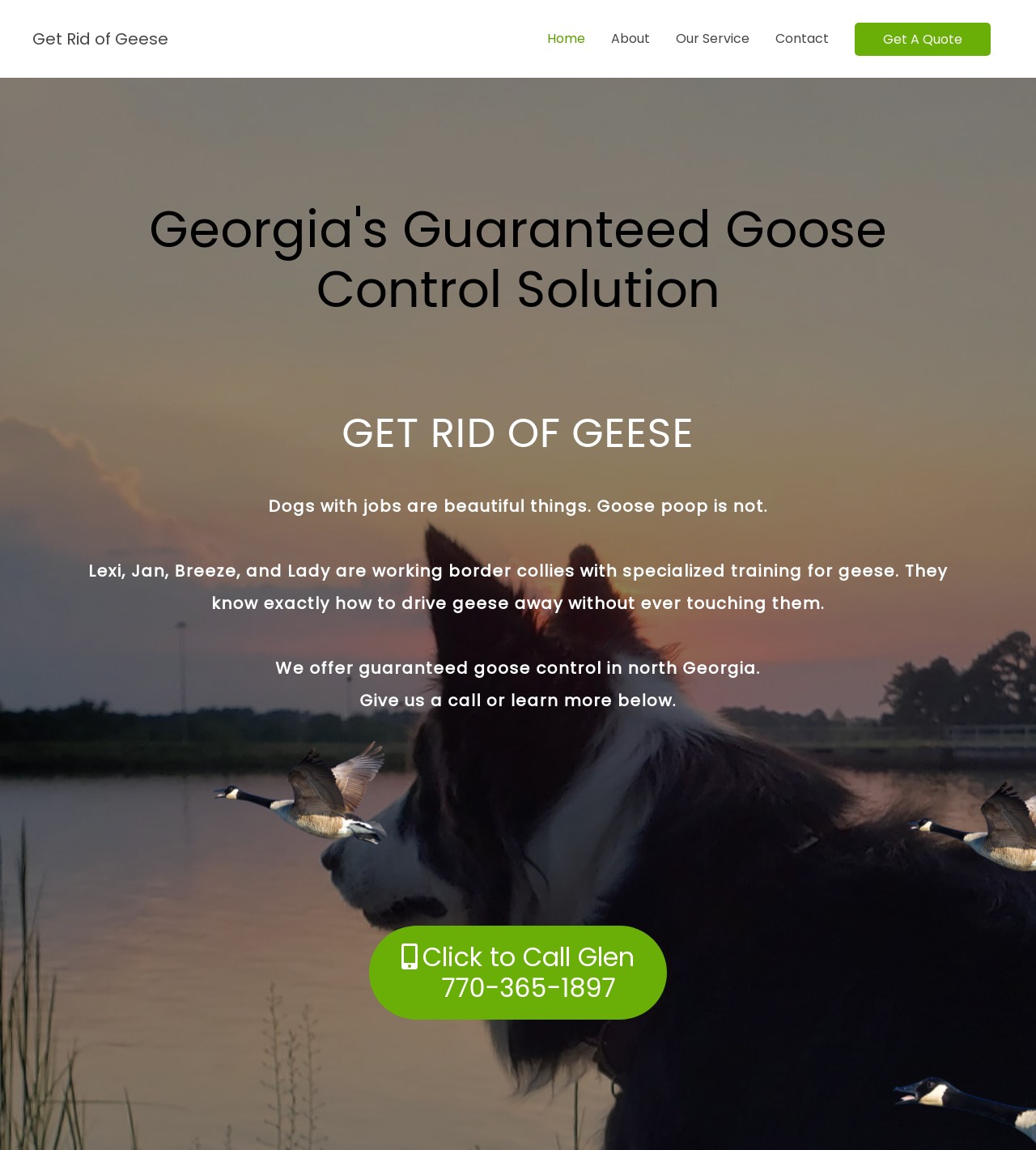 Lawrenceville Wildlife Control