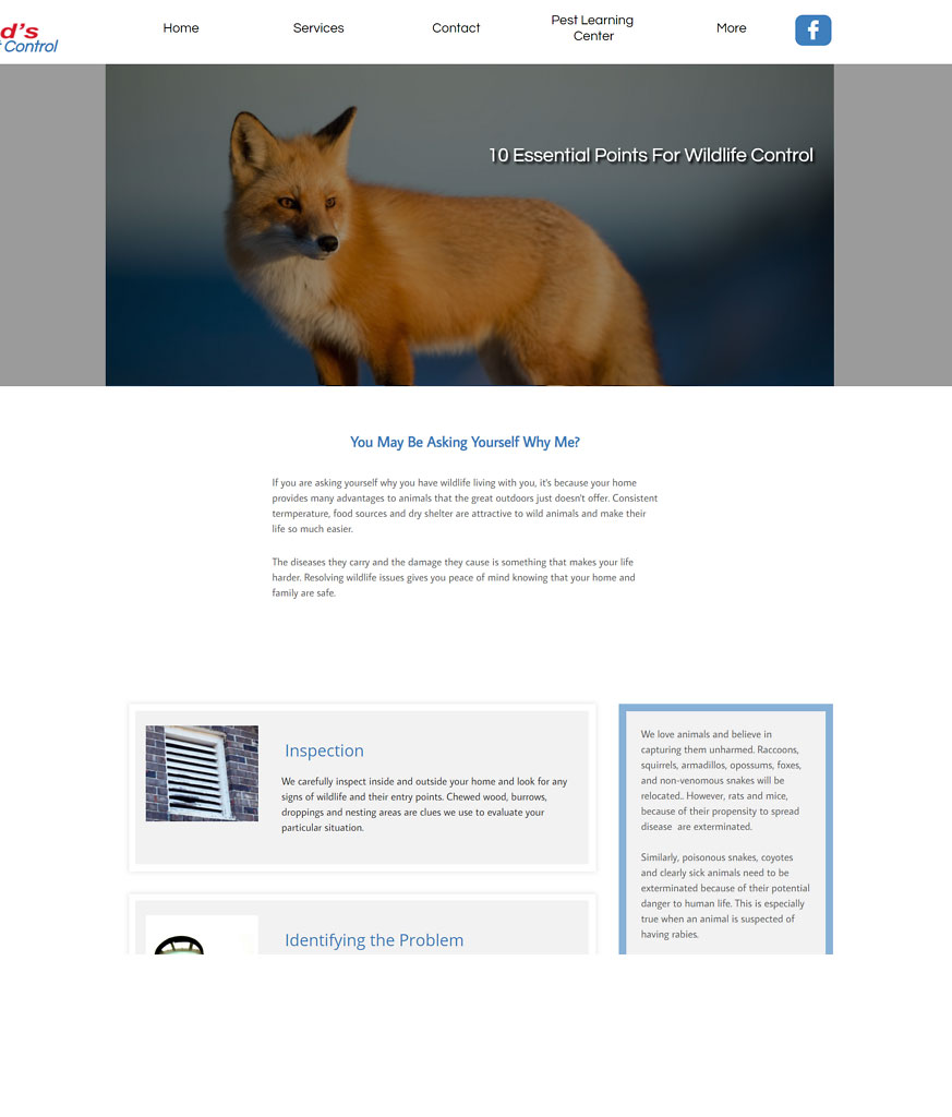 Columbus Wildlife Control