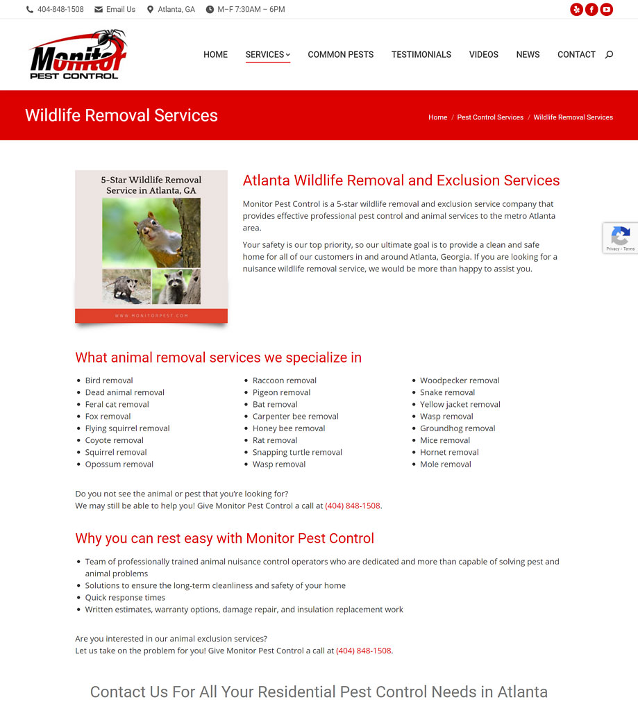 Atlanta Wildlife Control