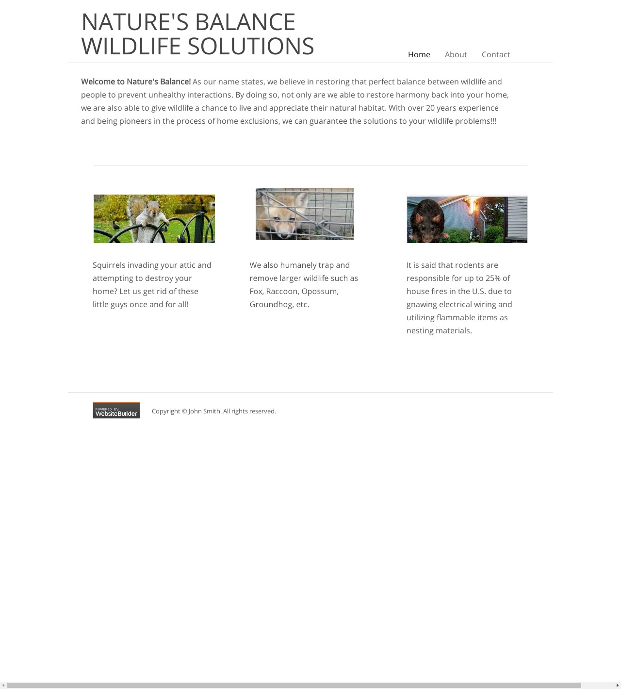 Marietta Wildlife Control