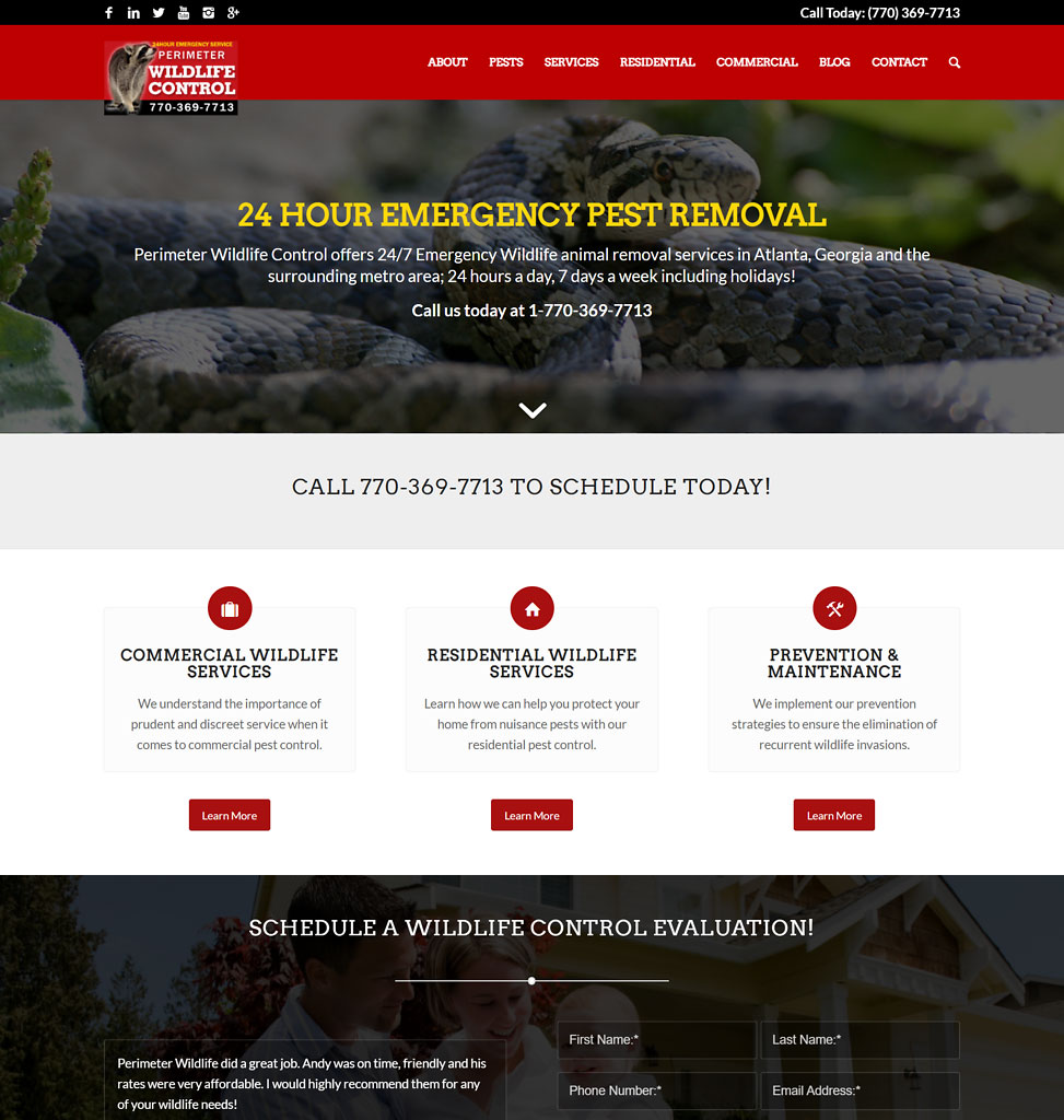 Atlanta Wildlife Control