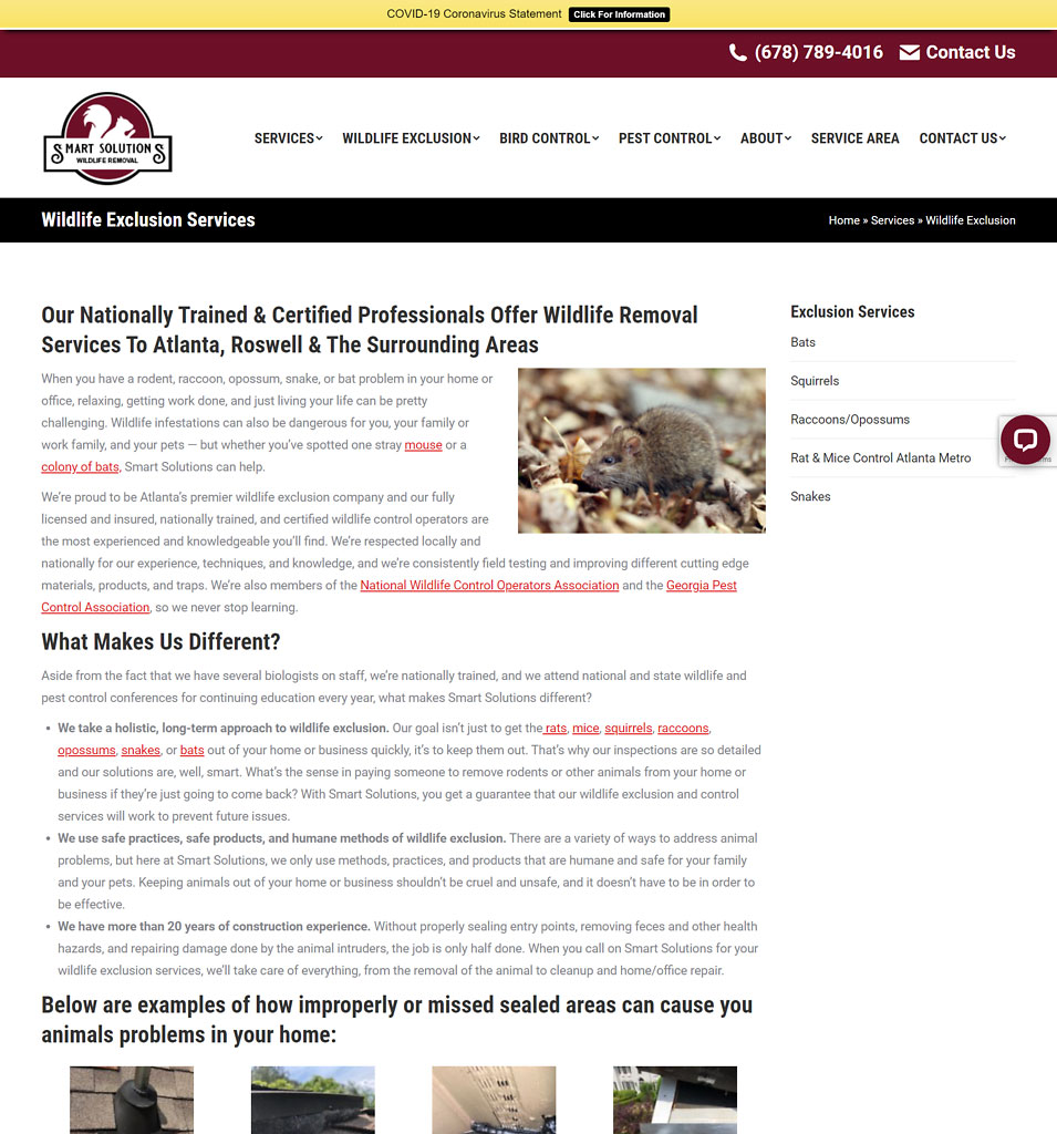Atlanta Wildlife Control