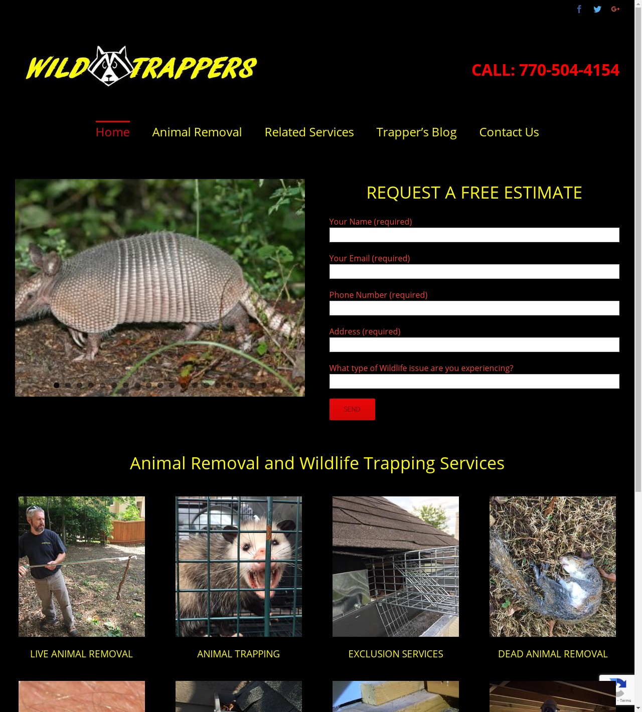 Marietta Wildlife Control